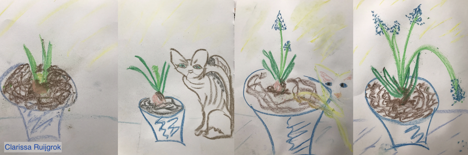 natuurlijke_kraamzorg_ontwikkelingsreeks_plant_gebaar
