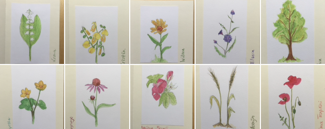 Eindbeeld_natuurlijkekraamzorg_ambacht_aquarel